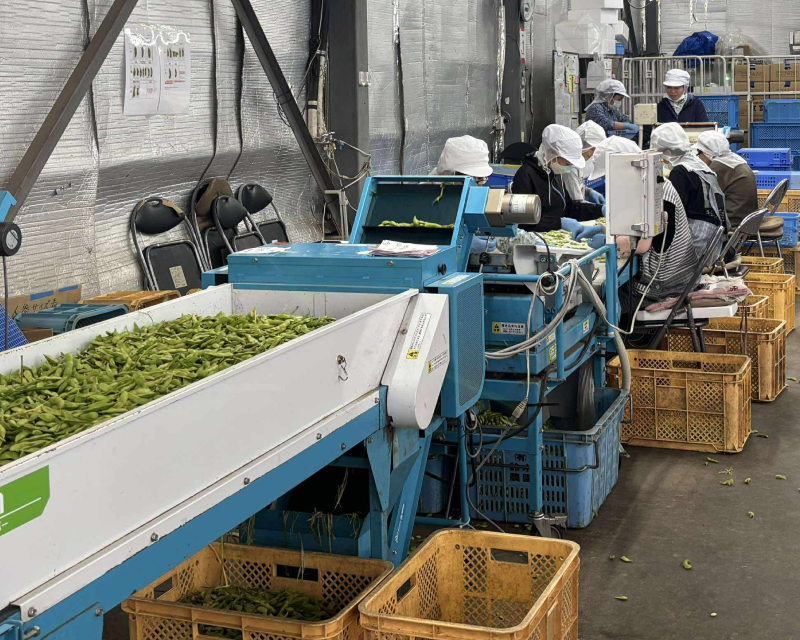 出荷調整用機器